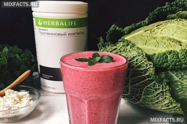 Протеиновый коктейль Гербалайф - польза и вред, состав, противопоказания, аналоги